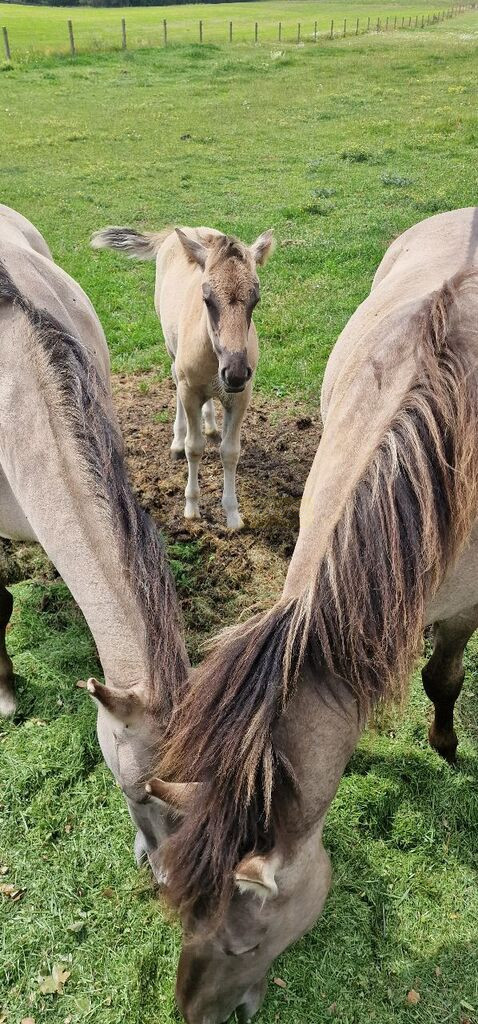 Działka Sprzedaż Warszawa
