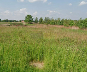 Działka Sprzedaż Czosnów