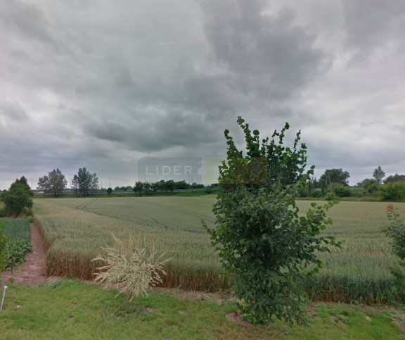Działka Sprzedaż Czosnów 3