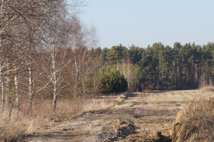 Działka Sprzedaż Jesionka 7