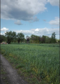 Działka Sprzedaż Kiełpin