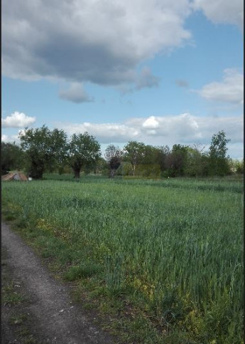 Działka Sprzedaż Kiełpin 2
