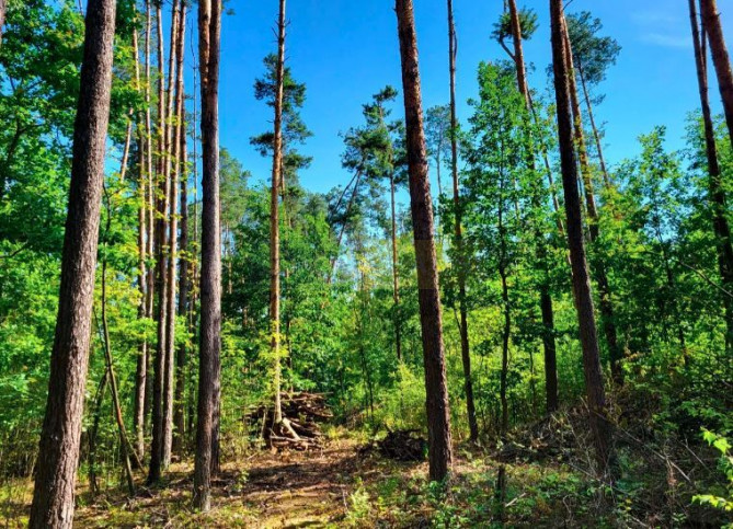 Działka Sprzedaż Wojcieszyn 1