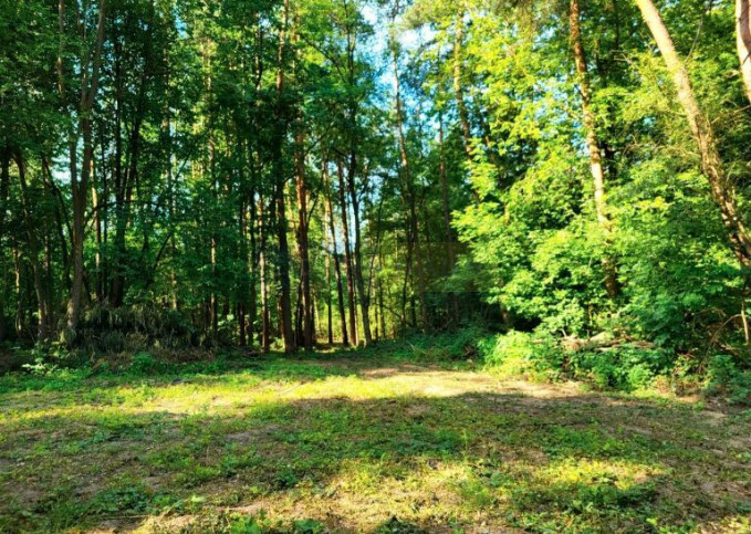 Działka Sprzedaż Wojcieszyn 3