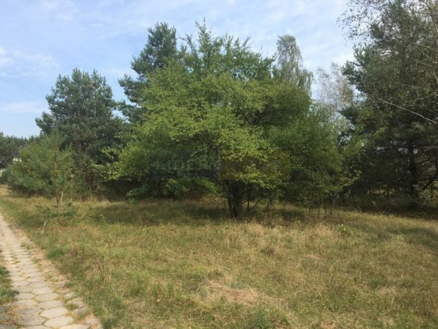 Działka Sprzedaż Pieńków 1