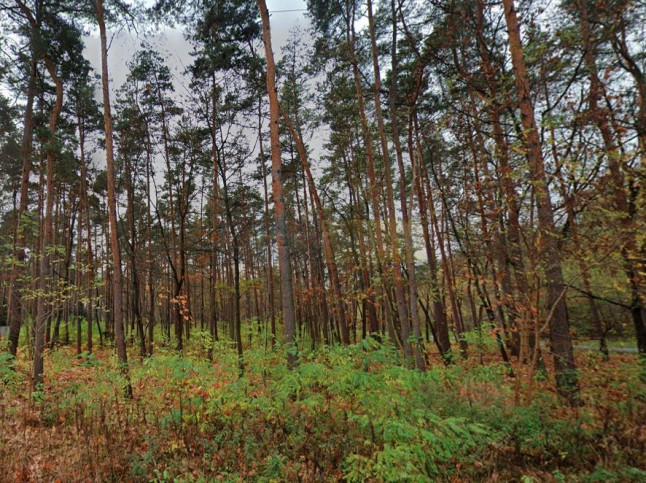Działka Sprzedaż Łomianki 2
