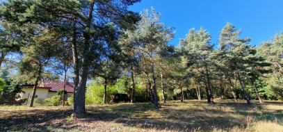 Działka Sprzedaż Kazuń-Bielany