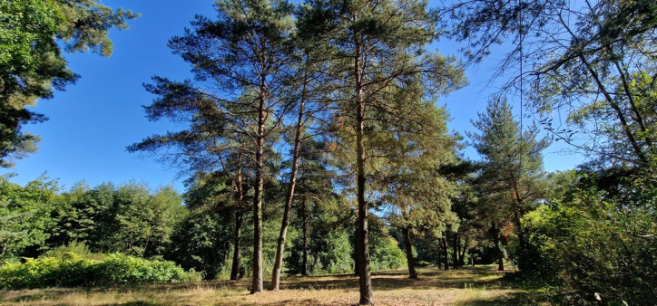 Działka Sprzedaż Kazuń-Bielany 5