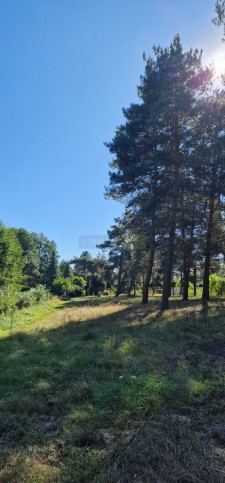 Działka Sprzedaż Kazuń-Bielany 6