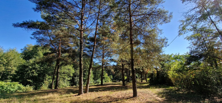 Działka Sprzedaż Kazuń-Bielany 7
