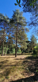 Działka Sprzedaż Kazuń-Bielany
