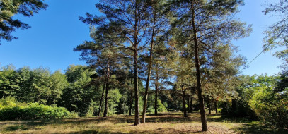 Działka Sprzedaż Kazuń-Bielany