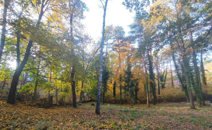 Działka Sprzedaż Łomianki 2