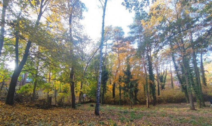 Działka Sprzedaż Łomianki 6