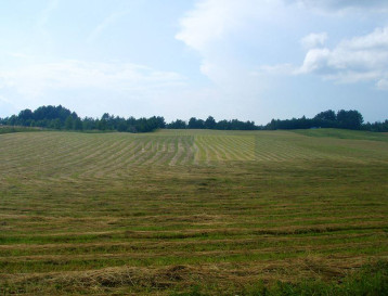 Działka Sprzedaż Warszawa