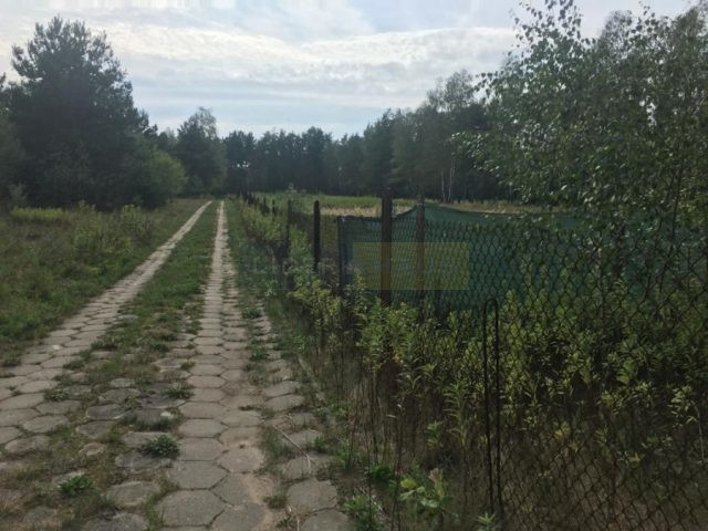 Działka Sprzedaż Pieńków 2