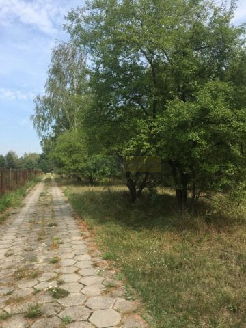 Działka Sprzedaż Pieńków 5