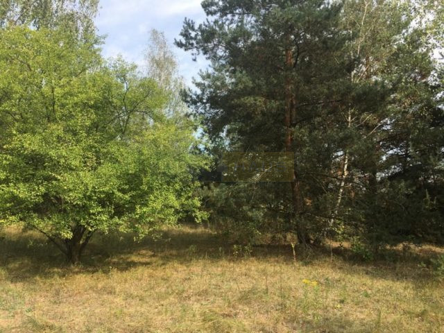 Działka Sprzedaż Pieńków 6
