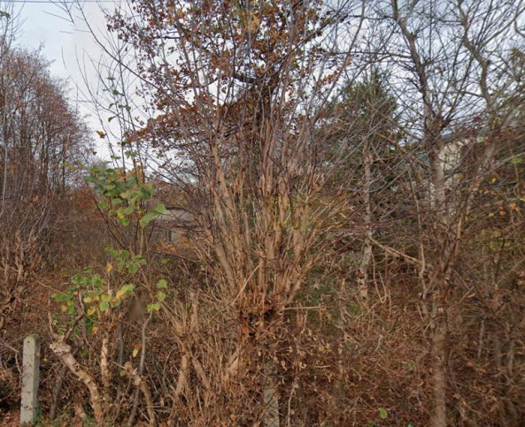 Działka Sprzedaż Łomianki 2