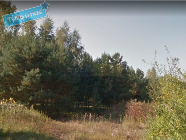 Działka Sprzedaż Dąbrowa