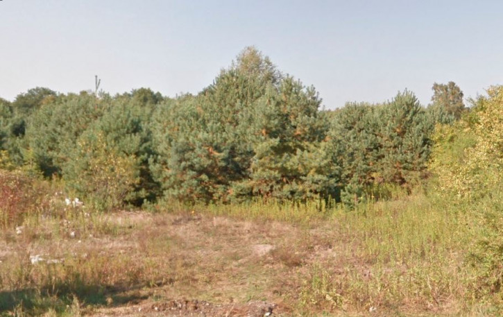 Działka Sprzedaż Dąbrowa 2