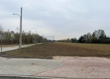 Działka Sprzedaż Dziekanów Nowy