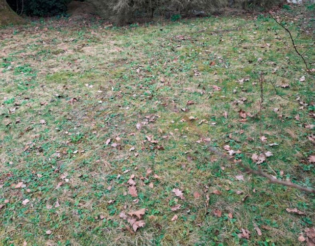 Działka Sprzedaż Dąbrowa 4