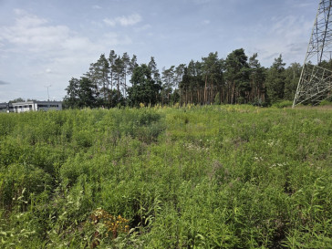 Działka Wynajem Łomianki
