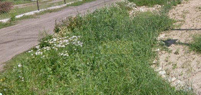 Działka Sprzedaż Kiełpin