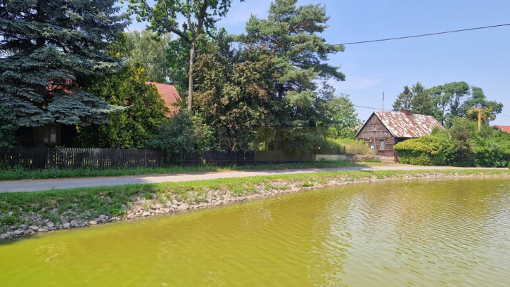 Działka Sprzedaż Wojny 8