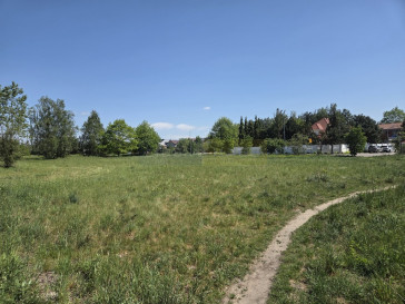 Działka Sprzedaż Dąbrowa