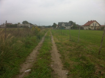 Działka Sprzedaż Zaborówek