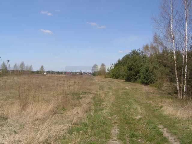 Działka Sprzedaż Nowe Grochale 3