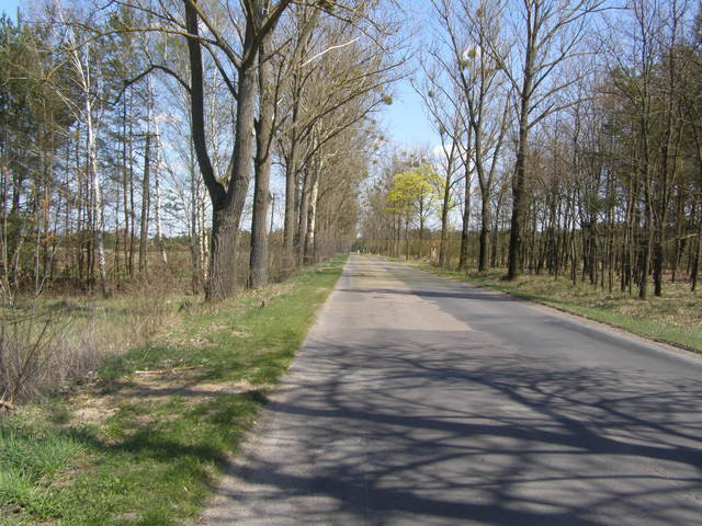 Działka Sprzedaż Nowe Grochale 5