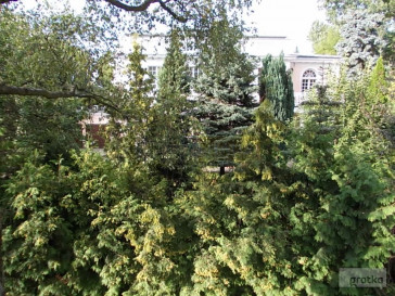 Dom Sprzedaż Warszawa Mokotów