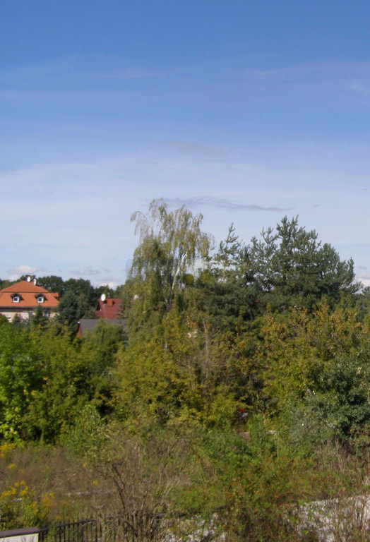 Lokal Wynajem Łomianki