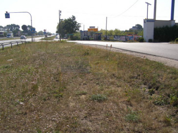 Działka Sprzedaż Izabelin-Dziekanówek