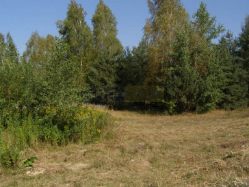 Działka Sprzedaż Izabelin-Dziekanówek