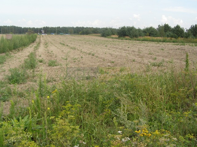 Działka Sprzedaż Zakroczym 6