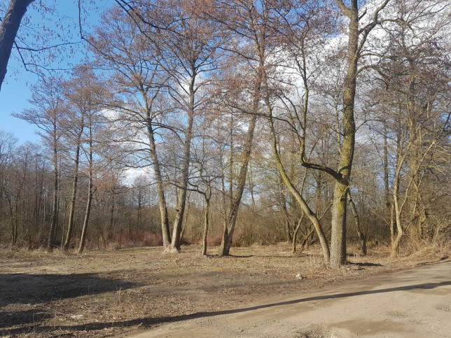 Działka Sprzedaż Nowe Grochale 1