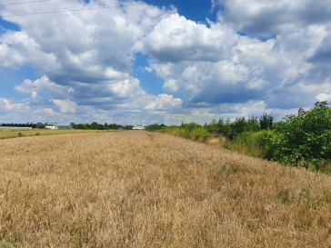 Działka Sprzedaż Cząstków Mazowiecki