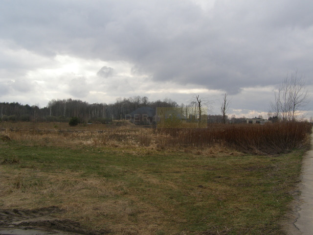 Działka Sprzedaż Łomna-Las 3
