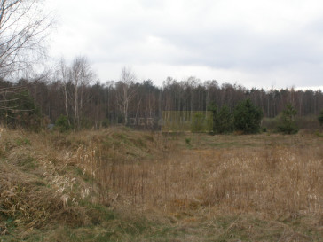 Działka Sprzedaż Łomna-Las