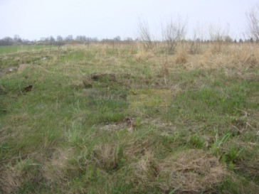 Działka Sprzedaż Janczewice