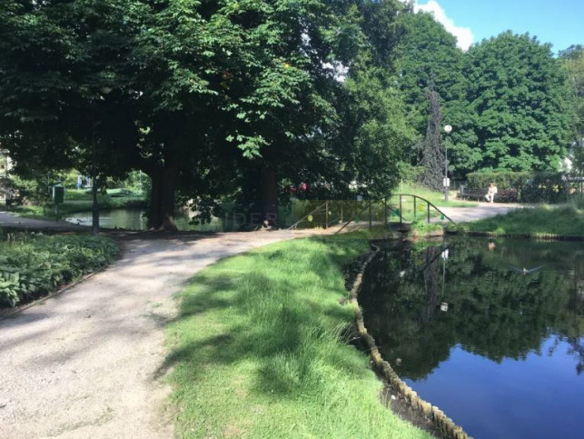 Dom Sprzedaż Warszawa Żoliborz 12