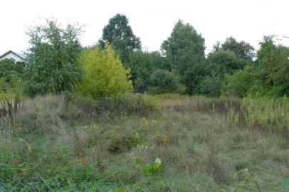 Działka Sprzedaż Łomianki