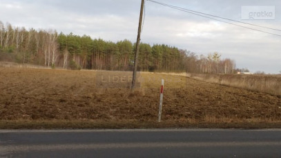 Działka Sprzedaż Kazuń Polski