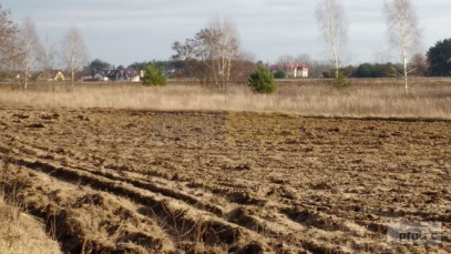 Działka Sprzedaż Kazuń Polski