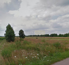 Działka Sprzedaż Cybulice