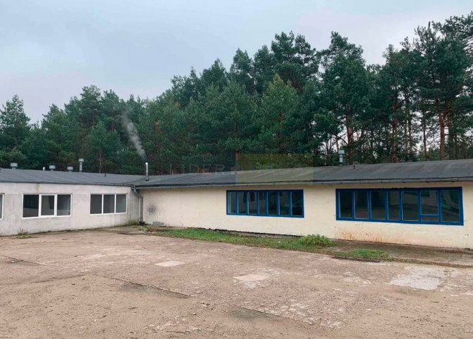 Lokal Wynajem Czosnów 2